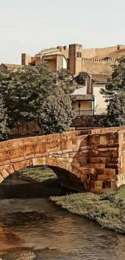 Scenic stone bridge over serene stream in a nature-rich setting.