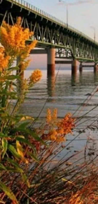 A scenic bridge over a river at sunset with golden flowers in the foreground.