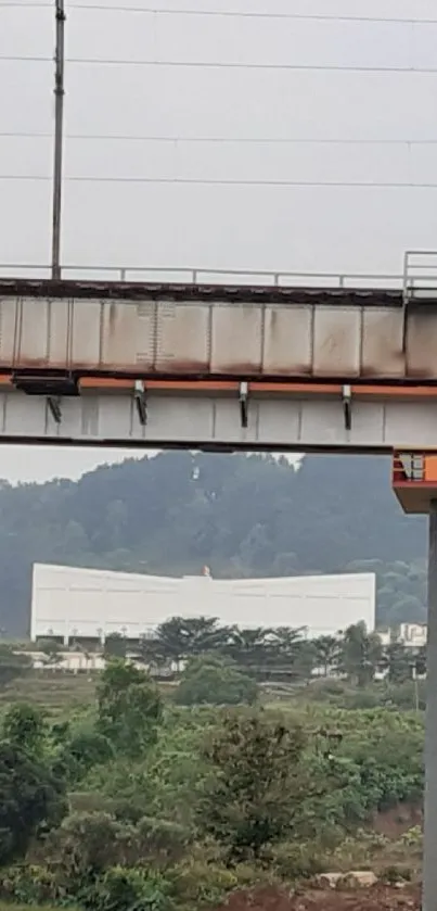 Scenic view of a railway bridge amid lush greenery.