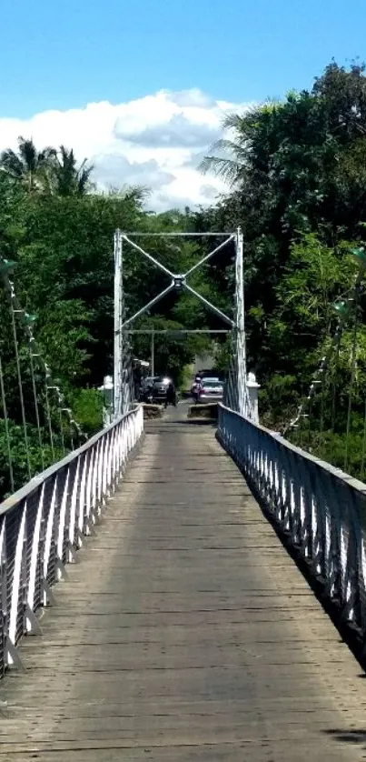 Scenic bridge surrounded by green trees.