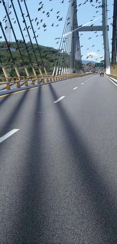 Beautiful bridge road with birds flying overhead against a scenic horizon.