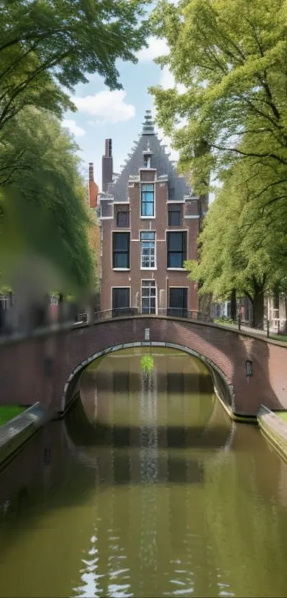 Charming canal with bridge and trees reflecting on water.