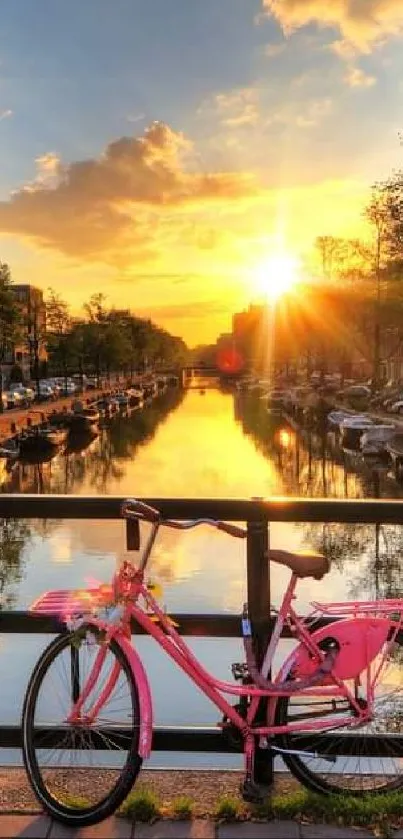 Breathtaking sunset over a canal with bicycles and vibrant flowers.