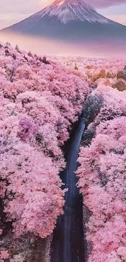 Mobile wallpaper of a cherry blossom pathway with a mountain view.