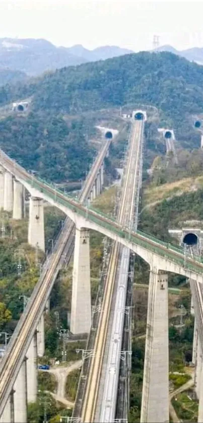 A majestic Chinese railway bridge amidst lush mountains.