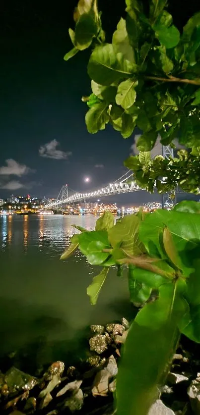 Night city bridge with green leaves, serene water reflection.