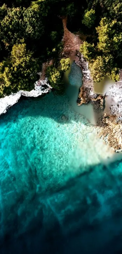 Aerial view of a scenic coastline with turquoise water and lush greenery.