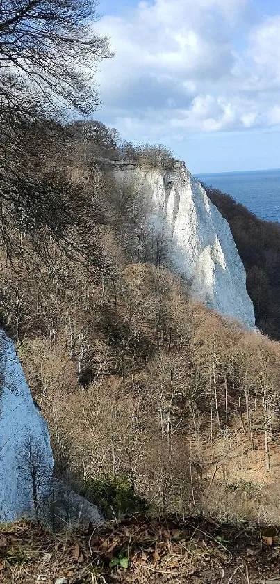 Scenic coastal cliff with blue ocean view and clear sky.