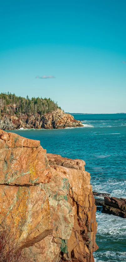 Scenic coastal cliff with ocean view mobile wallpaper.