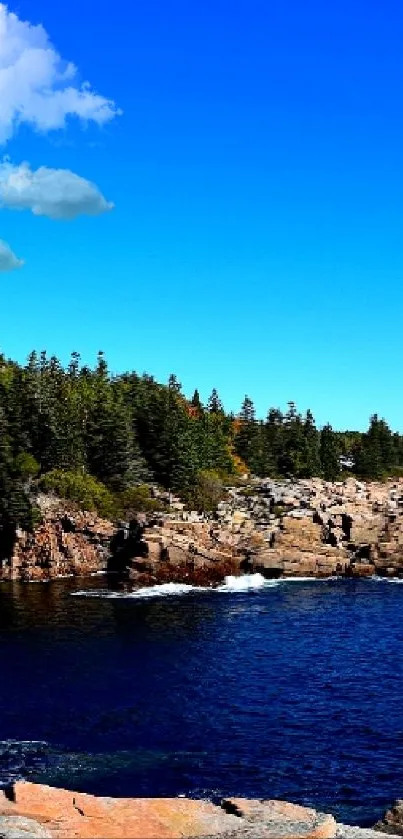 Rocky coastline with deep blue ocean and clear blue sky.