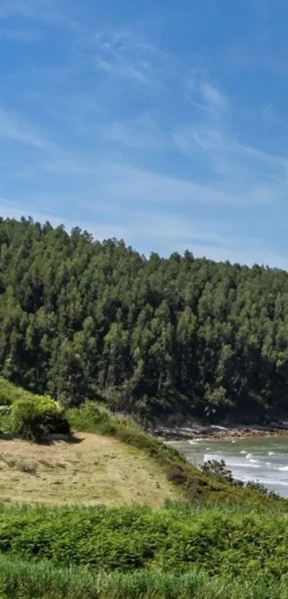 Serene coastal landscape wallpaper with lush greenery and a vivid blue sky.