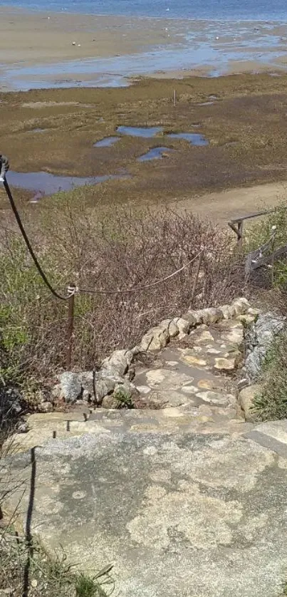 Stone pathway leading to a scenic, tide-exposed beach.