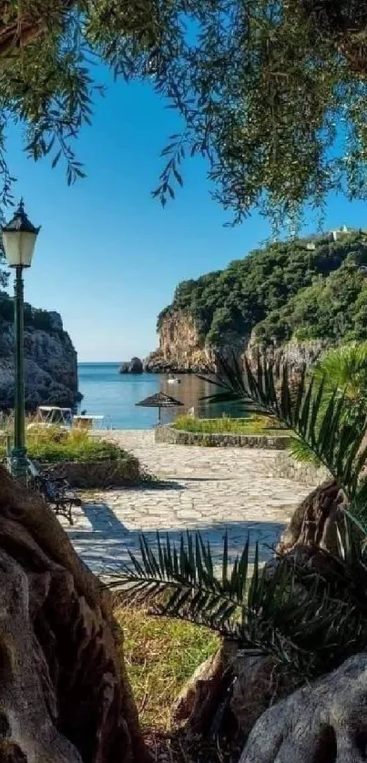 Rustic coastal pathway with blue skies and lush greenery framed by tree trunks.