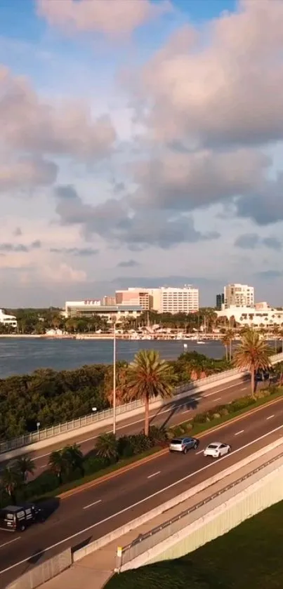 Scenic coastal road with palm trees and city skyline under a blue sky.