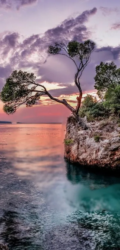 Sunset by a lone tree on a rocky coastal cliff with a calm sea.