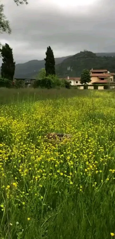 A lush green meadow with yellow flowers under a cloudy sky in the countryside.