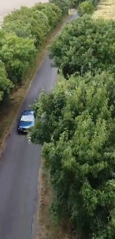 Aerial view of a car driving on a tree-lined country road.