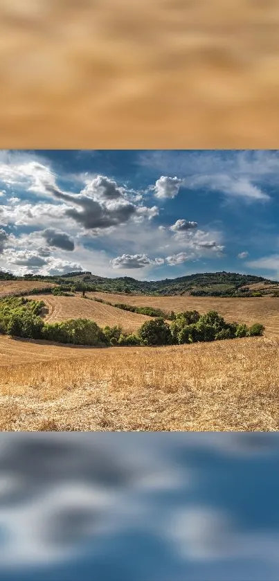 Scenic countryside with blue skies and golden fields.