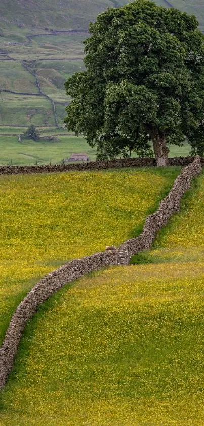 Serene countryside with green pastures and a single tree.