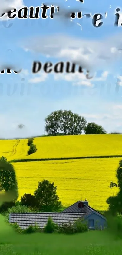 Countryside with green fields and house under a blue sky.