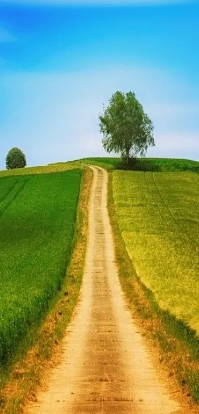 Peaceful countryside road under a blue sky.