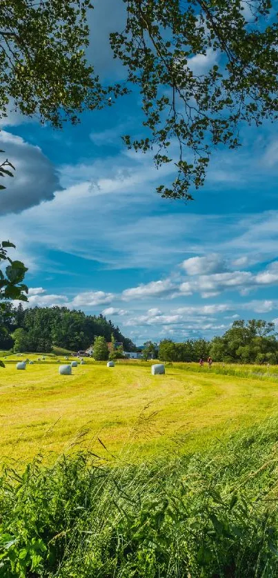 Beautiful scenic view of green fields under a clear blue sky.