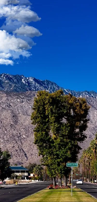 Scenic boulevard with trees, mountains, and blue sky.