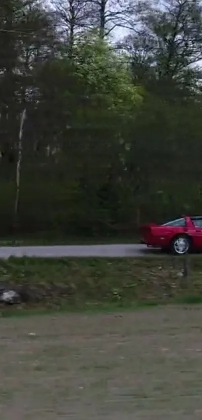 Red sports car driving on a forest road.