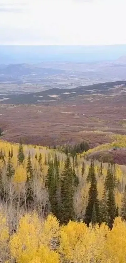 Vibrant autumn forest with distant mountains panorama.