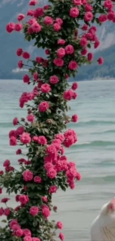 White cat by a flower arch at a lake.
