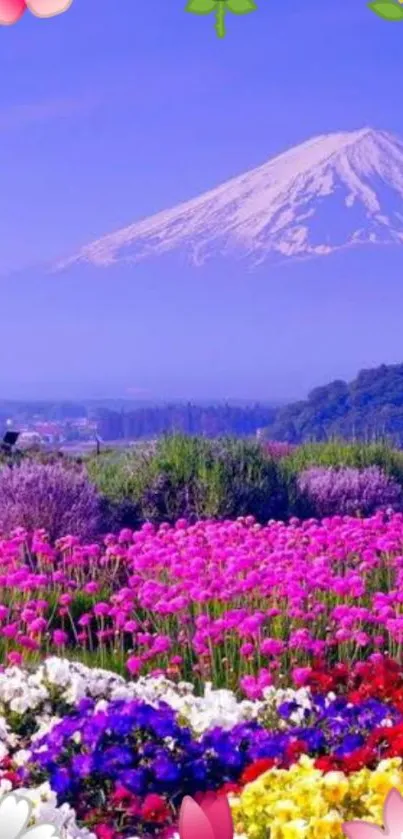 Vibrant flower field with mountain backdrop.