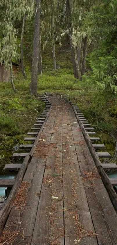 Rustic wooden bridge in a lush forest setting, perfect for mobile wallpaper.