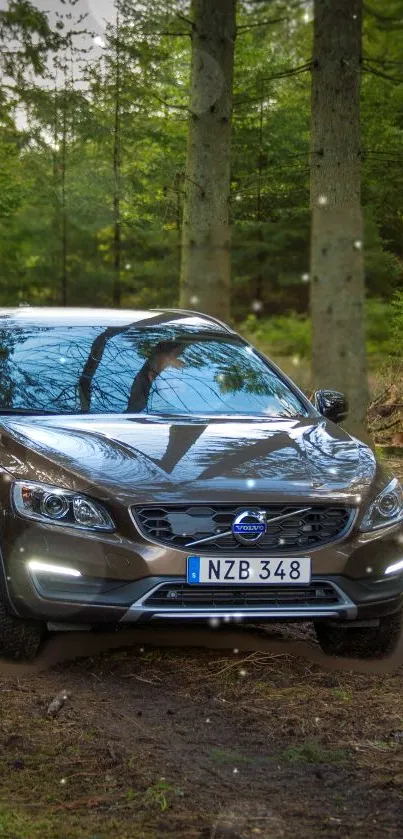 Car parked in a lush forest setting with trees in the background.