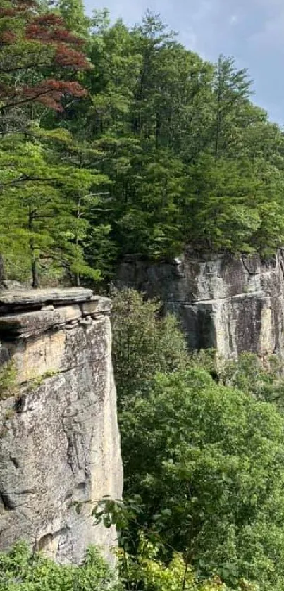 Scenic cliff with lush greenery and rocks.