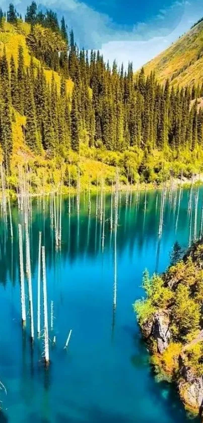 A beautiful forest lake with clear blue water and lush green surroundings.