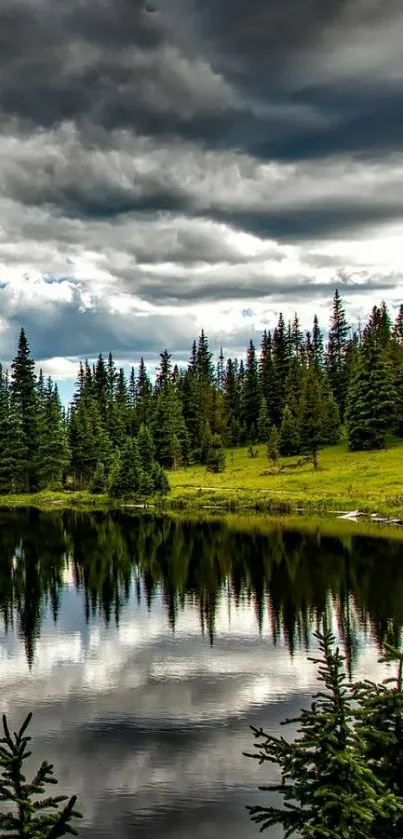 Scenic mobile wallpaper showing a forest lake with reflections.