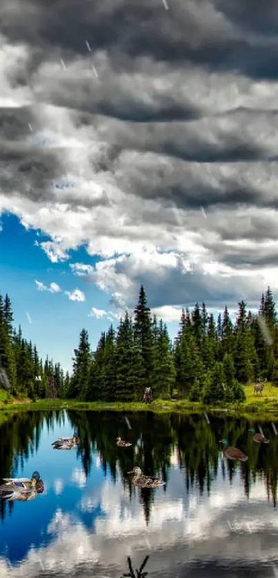 Breathtaking view of a serene forest lake with reflecting sky and clouds.