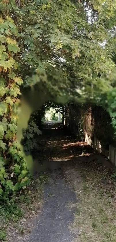 Lush green forest path with overhead canopy.