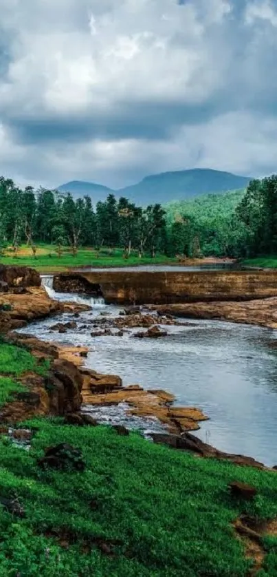 Serene forest river under a cloudy sky