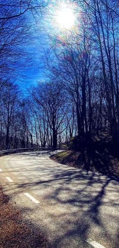 Beautiful sunlit road through a forest with clear blue sky.