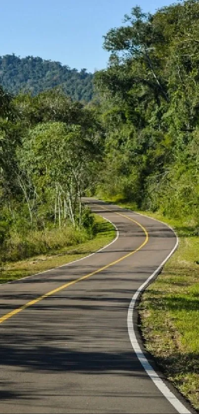 Winding road through a lush green forest with mountains in the background.