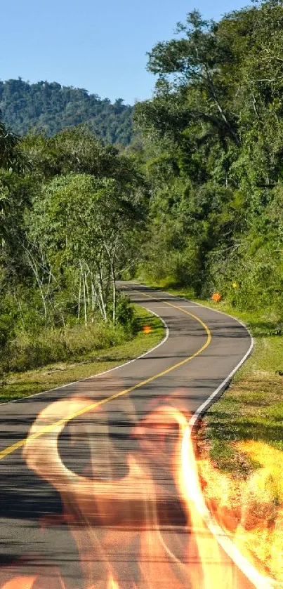 Winding road through lush green forest with a clear blue sky backdrop.