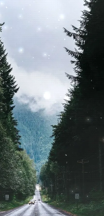 Forest road enveloped by trees and misty sky, perfect mobile wallpaper.