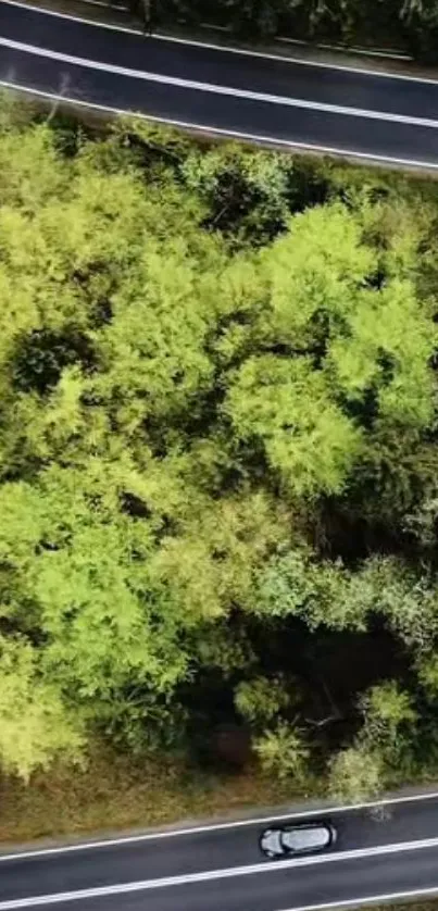 Aerial view of a winding road through lush green forest.