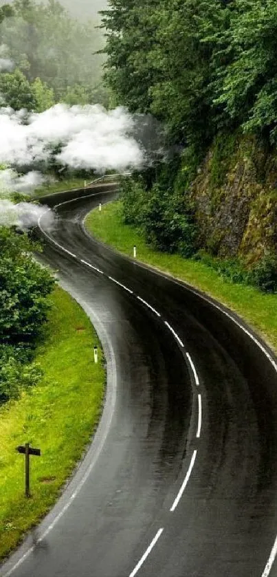 Curved road through lush green forest landscape.