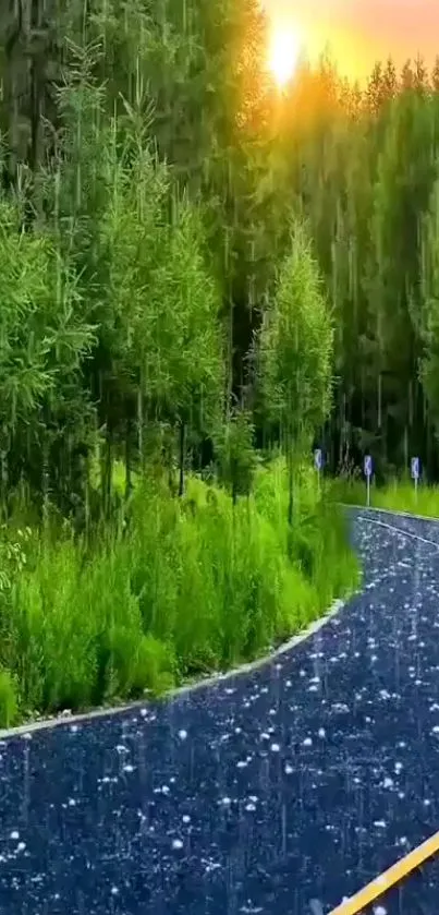 Serene forest road with lush greenery and a tranquil atmosphere at sunset.