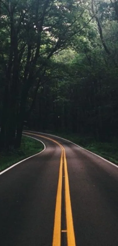 Winding road through a lush green forest creates a serene mobile wallpaper.