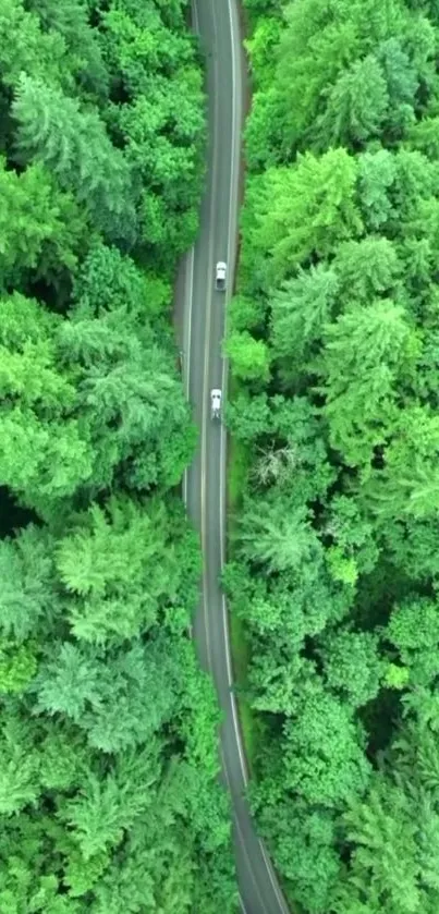 Aerial view of a winding road through lush green forest.