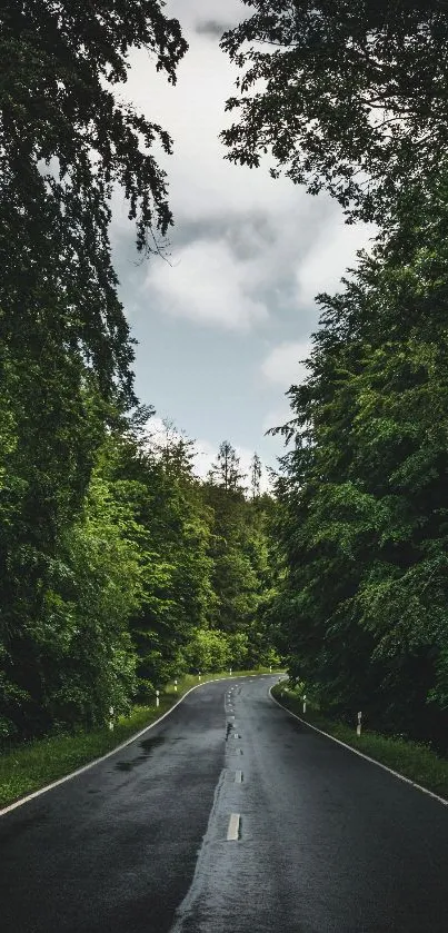 Scenic road through lush green forest under cloudy sky.