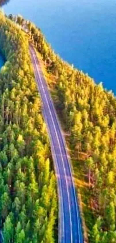 A scenic road winding through a lush forest beside a tranquil blue lake.